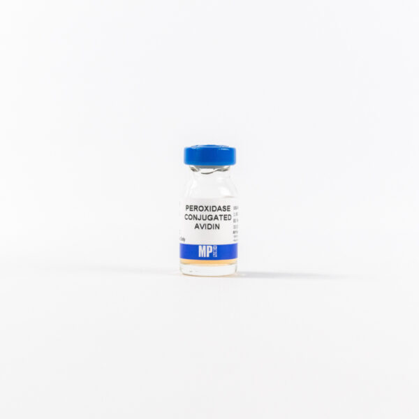 Horseradish Peroxidase-Conjugated Avidin