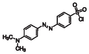 4-Dimethylaminoazobenzene-4'sulfonyl chloride