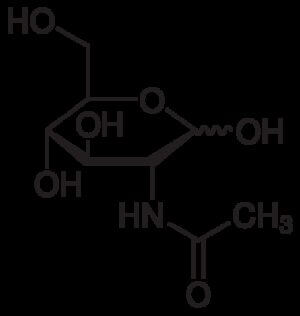 N-Acetyl-D-glucosamine, cell culture reagent
