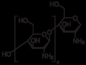 Chitosan