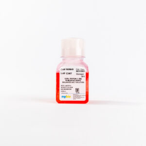 0.25% Trypsin-EDTA (1X)