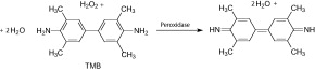 3,3',5,5'-Tetramethylbenzidine liquid substrate