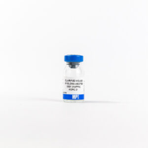 IgG1 (Kappa), Clone Mopc 21, mouse ascites