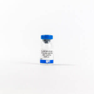 IgG1 (Kappa), Clone Mopc 21, mouse ascites
