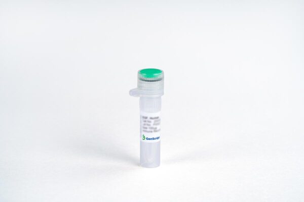 CD48/SLAMF2 Fc Chimera, Human