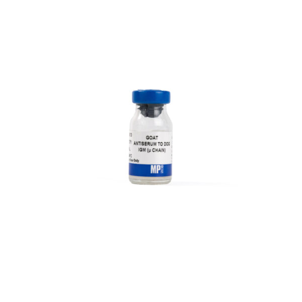 Anti-dog IgM (u Chain) goat antiserum