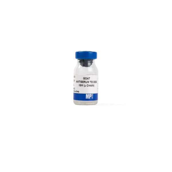 Anti-dog IgM (u Chain) goat antiserum