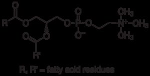 Lecithin, ≥96%