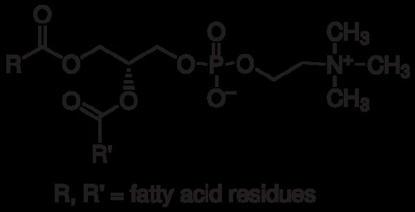 Lecithin, ≥96%