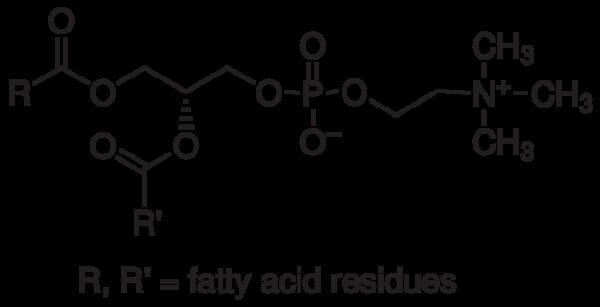 Lecithin, ≥96%