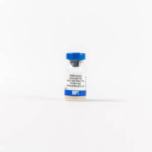 HRP IgG Goat Anti-Rat IgG (H&L)