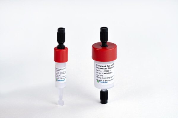 Protein A Resin FF Prepacked Column