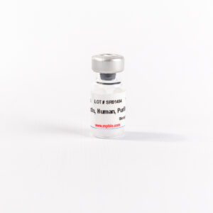 Purified Human Fibronectin