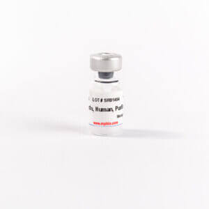 Purified Human Fibronectin
