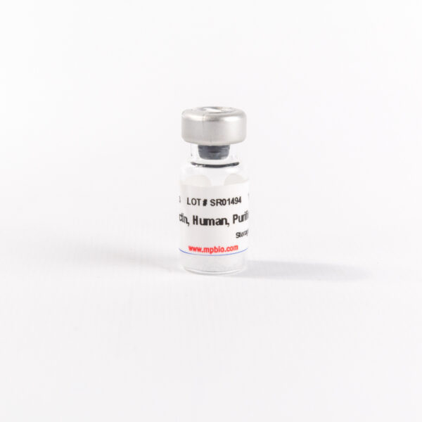 Purified Human Fibronectin