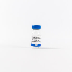 Affinity Purified Rabbit Anti-Mouse IgG (H&L)