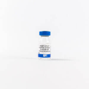 Affinity Purified Rabbit Anti-Mouse IgG (H&L)