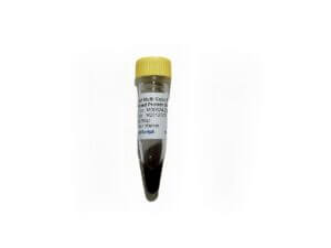 Broad Multi Color Pre-Stained Protein Standard
