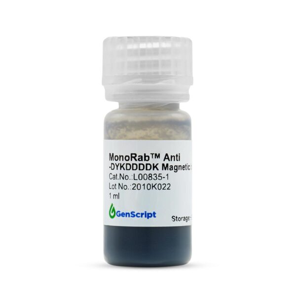MonoRab™  Anti-DYKDDDDK Magnetic Beads