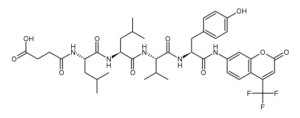 Suc-Leu-Leu-Val-Tyr-7-amino-4-trifluoromethylcoumarin