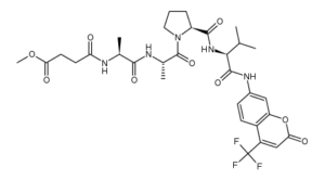 Meosuc-Ala-Ala-Pro-Val-7-Amino-4-trifluoromethylcoumarin