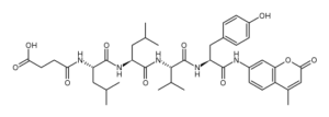 Suc-Leu-Leu-Val-Tyr-7-amino-4-methylcoumarin