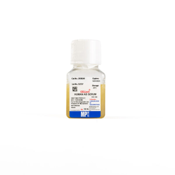 Human Serum, Type AB, Heat Inactivated