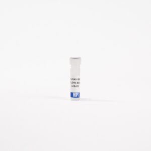 IgG1, human myeloma, purified