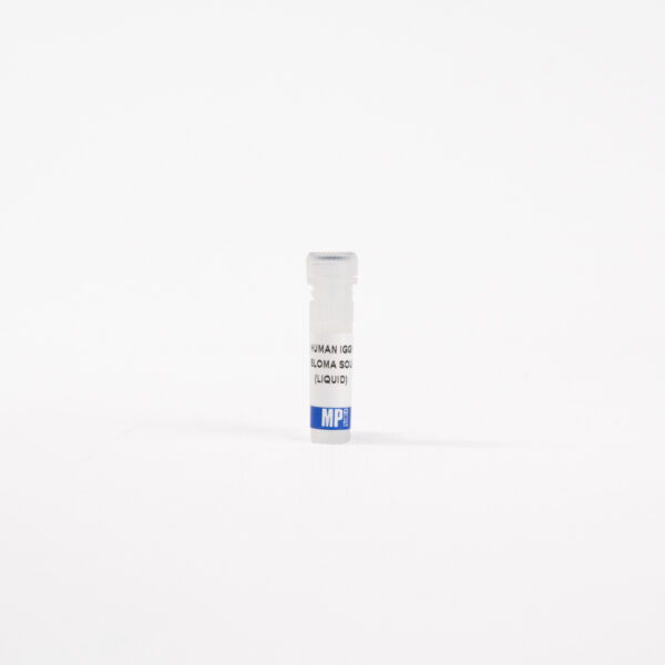 IgG1, human myeloma, purified