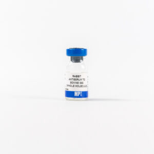 Rabbit Anti-Bovine IgG