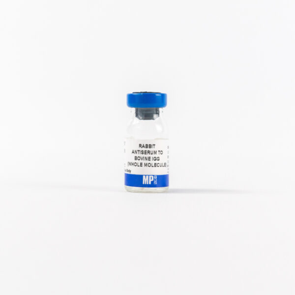 Rabbit Anti-Bovine IgG