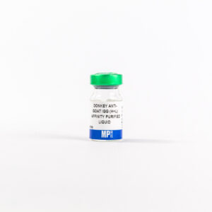 Donkey anti-goat IgG (H+L) antibody