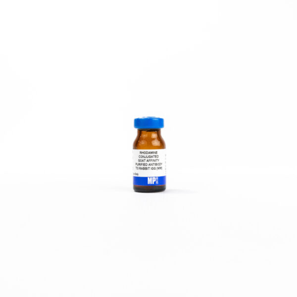 Anti-rabbit IgG (whole molecule) affinity-purified goat anti