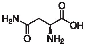 L-Asparagine, anhydrous, ≥99%