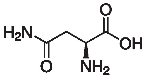 L-Asparagine, anhydrous, ≥99%