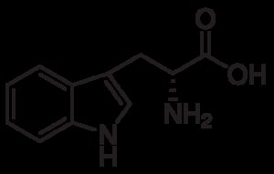 D-Tryptophan