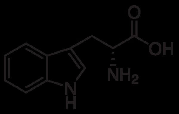 D-Tryptophan