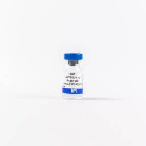 Anti-rabbit IgG (whole molecule) goat antiserum