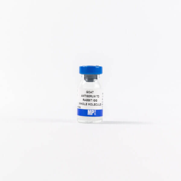Anti-rabbit IgG (whole molecule) goat antiserum
