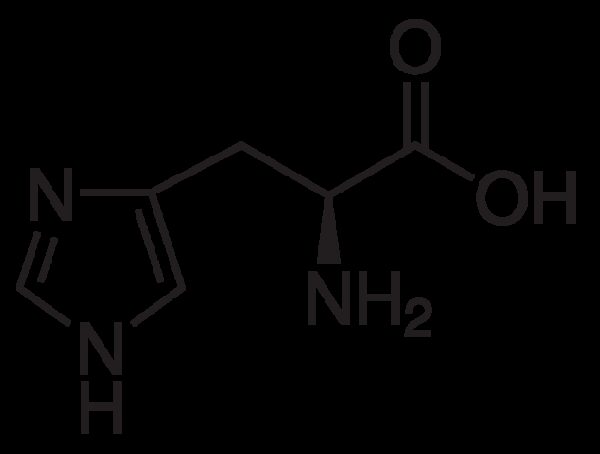 L-Histidine, Free Base, cell culture reagent