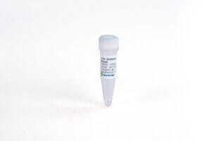 TSHR Antibody (M22HC)