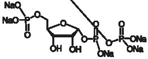 5-Phospho-D-ribose 1-diphosphate pentasodium salt