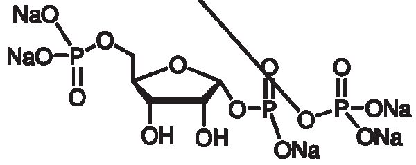 5-Phospho-D-ribose 1-diphosphate pentasodium salt