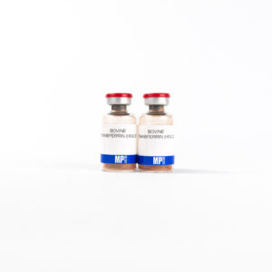 NZ Bovine Transferrin (Holo), Heat Treated
