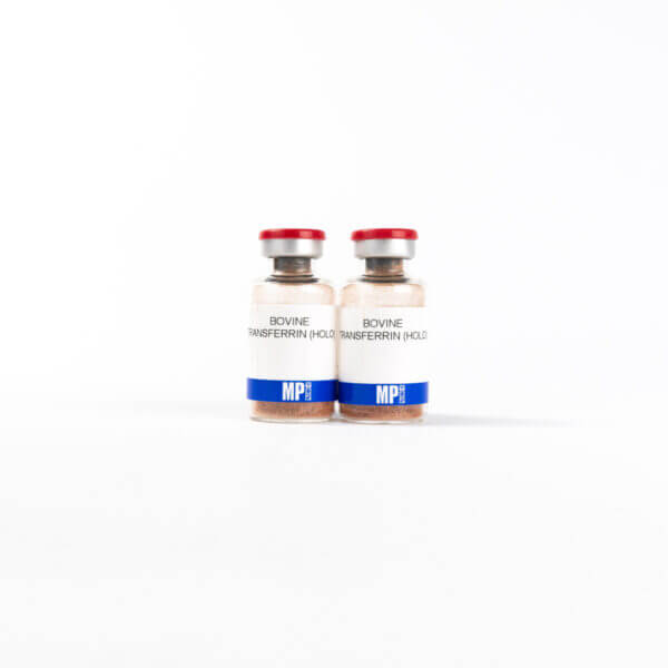 NZ Bovine Transferrin (Holo), Heat Treated