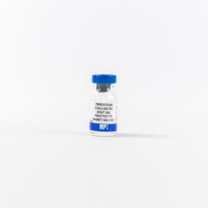HRP IgG Goat Anti-Rabbit IgG (H&L)