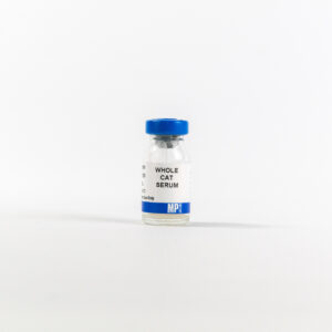 Serum, cat