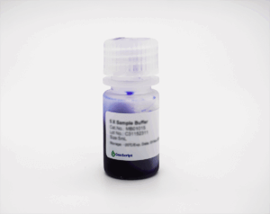 5X Sample Buffer