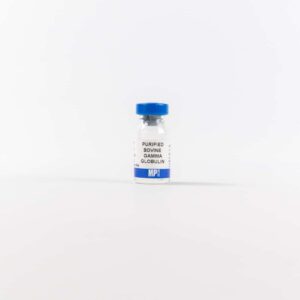 Purified Bovine Gamma Globulin