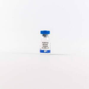 Purified Bovine Gamma Globulin